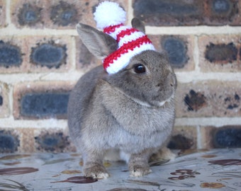 Christmas beanies for bunnies, pet rabbit beanies, red and white rabbit Christmas hat, pet rabbit clothes and accessories, Christmas