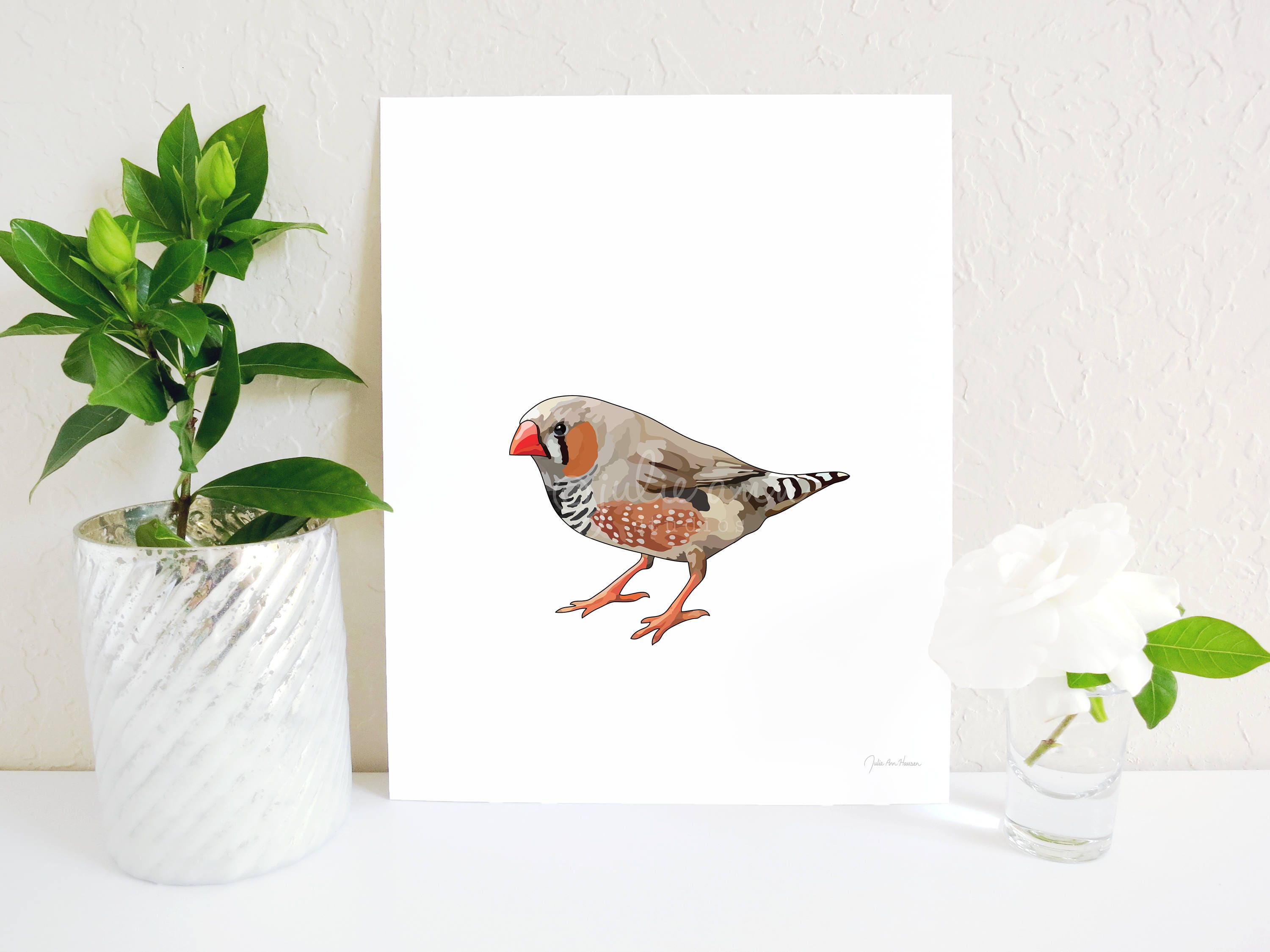 Zebra Finch Print Zebra Finch Painting Zebra Finch Art Bird