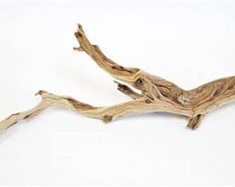 Sandblasted Ghostwood (California Driftwood), 10-12", 2 Pieces