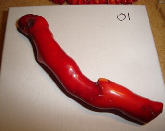 Red Coral Branch Old Stock