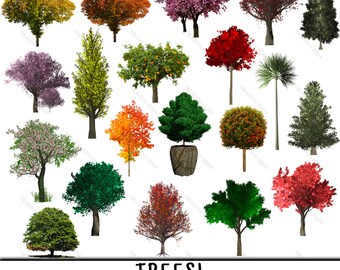 Tree Clipart, Tree Clip Art, Clipart Tree, Clip Art Tree, Tree PNG, PNG Tree, Trees Clipart, Trees Clip Art, Clipart Trees, Clip Art Trees