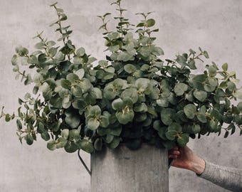 Faux Eucalyptus Stem