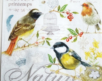 Set of 2 napkins,decoupage paper napkins Birds Decoupage paper Napkin for decoupage