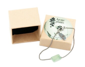 Bracelet, dandelion, wool grass, stainless steel, green, northern light, with nostalgic photo of a cottongrass