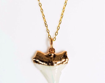 White Gold Dipped Shark Tooth Necklace- Real Shark Tooth 14K