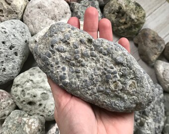 Alaska River rocks - River rocks bulk - Volcanic rock - Lapidary rocks - Raw stone - Bubbly Rocks