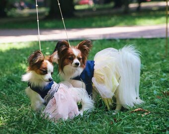 Stylish Dog Dress - Dog Dress - Dog Clothing - Pet Clothes - Available to Any Breed