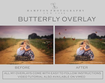 Beautiful Butterfly Photoshop overlay Add a little special touch to your photos EASY to follow step by step instructions