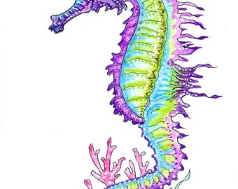 Set of 4 SEAHORSEs Prints 4X6 INCH