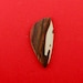 Indian Paint Jasper Hand Cut Freeform Designer Cabochon