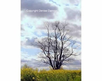 Kentucky - Tree Silhouette