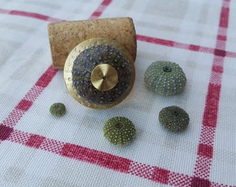 UNIQUE Real Sea URCHIN adjustable gold plated ring