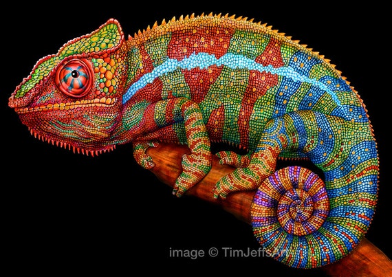 Panther Chameleon Colored Pencil Drawing