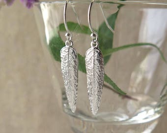 Small Mexican Bush Sage Leaf Earrings - Pure Silver Real Leaf, Botanical Herb Jewelry, Gardener Gift