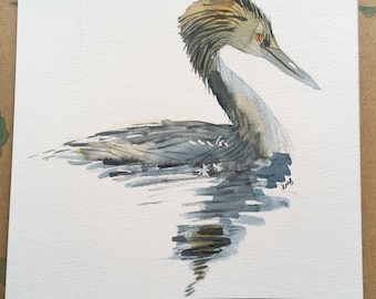 Grebe - water bird painting in watercolours