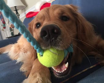 Dog Rope Toy with Tennis Ball