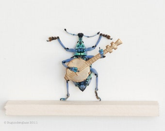 Real Beetle Playing the Banjo Taxidermy Insect Art Display