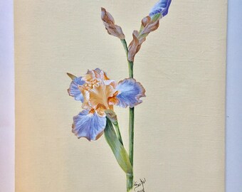 9x12 Blue Iris on Canvas Board