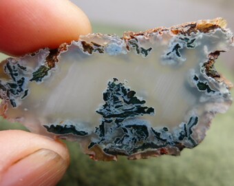 Horse Canyon Agate Preform Cabochon