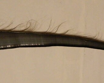 BALEEN PLATE FROND native alaska alaskan eskimo rare collectible