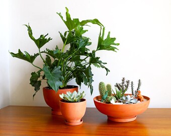 Terra-Cotta Planters: Set of 3