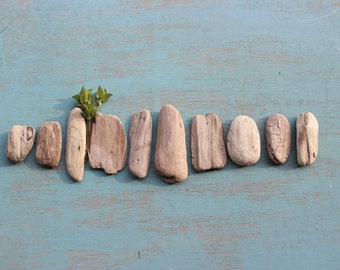 Rustic Oval Driftwood Nuggets for Beach Art , Mobile Making , Beach wedding Decor & nautical Home Decoration BWN10
