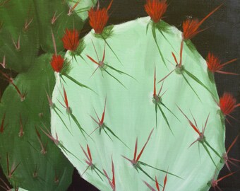 Cactus Flower, Phoenix Botanical Gardens