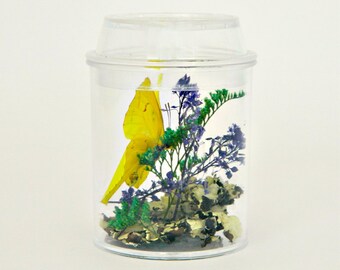 Butterfly Terrarium Kit for Kids, Educational Gift, Party Favor, Gift for Girls, Nature Lover, Outdoors, Explore, Yellow Green and Purple