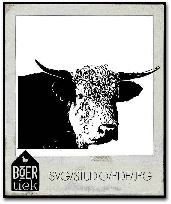 Download Hereford cow SVG/Studio/PDF/JPG file cutting file