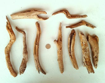 10 Orange Driftwood Pieces - FREE US SHIPPING