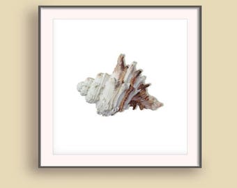 Beach 2017 art print, Coastal wall prints, Summer Wall Art 2017, Vacation art prints, Summer Wall prints, Seashell prints
