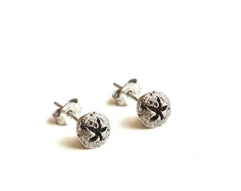 EAD2015 64 of 365 Eucalyptus Seedpod Stud Earrings