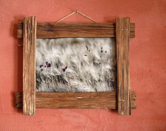 Thistles on the causse