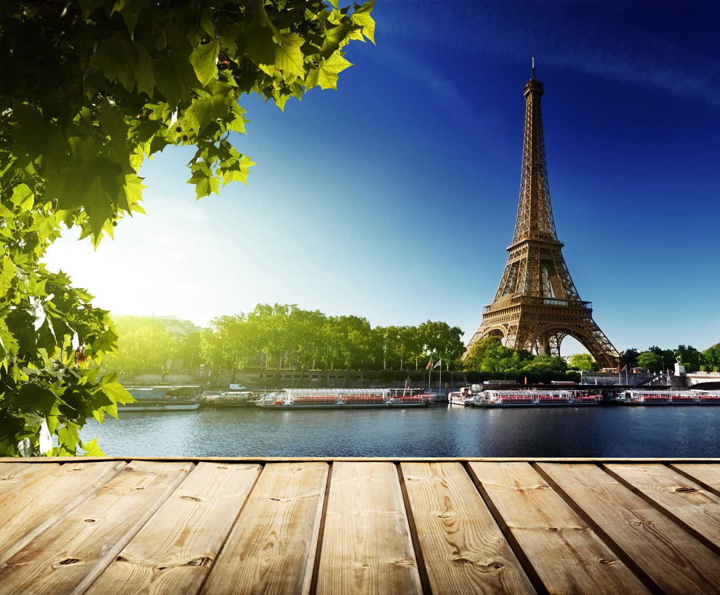 Paris Zoom Background