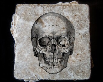 Vintage skull illustration coaster set. **Ask for free gift wrapping and have them sent directly to the recipient!**