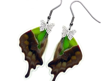 Real Butterfly Wing Earrings (Graphium Weiskei Hindwing - E159)