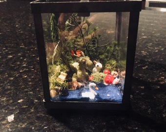 Dragon and friends terrarium