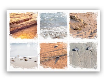 A photograph beach sand - sea - shells made - one beach and sand photography patchwork