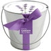 Lavender Pail – Self Contained Grow Kit – Eco Friendly – Patio Garden – Fragrant Flowers – Kitchen Garden - Indoor Garden – Mother's Day