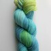 Sock Yarn, Fingering Weight, 80/20 SW Merino/Nylon, Gallant Sock in "Zanzibar"