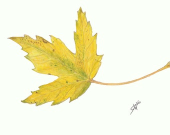 Autumn Maple Leaf Print 5" x 7"