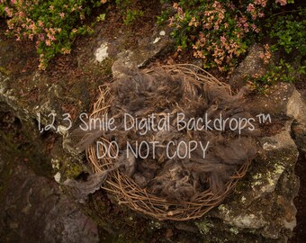 Brown Nest Digital Backdrop