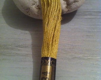 embroidery FLOSS stranded Special DMC 834 herbal green tea