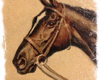Sam Savitt Horse Print