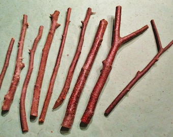Alder Wood Carving Sticks, Woodworking Craft Supply, Sacred Ritual Wand Carving Wood, Wiccan Druid Pagan Tools, Witchcraft Altar Decor Tools