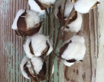 Cotton Stems 20 inch stems /Cotton Branches / Set of 5 Stems / Wedding/ Anniversary / Floral Spray /Cotton Wreath DIY /Rustic SALE