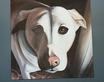 Custom Pet Portraits painted to order