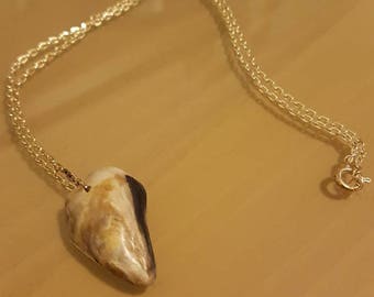 Fake Shark Tooth Necklace