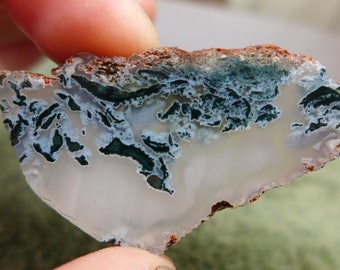 Horse Canyon Agate Preform Cabochon