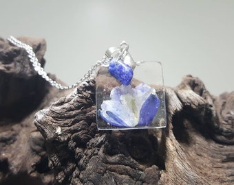Blue Delphinium Bloom